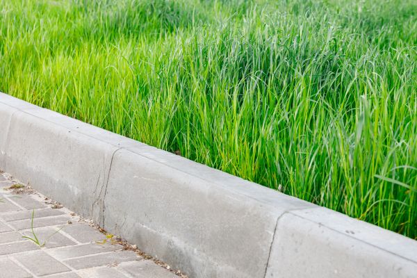Cost of Concrete Curb Repair in Evansville